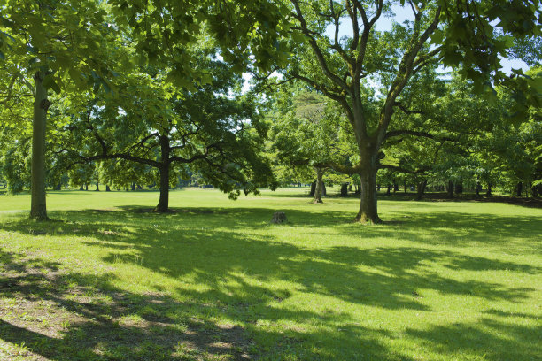 绿色的花园图片下载