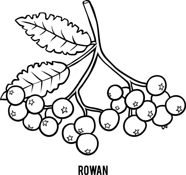儿童涂色书图片下载