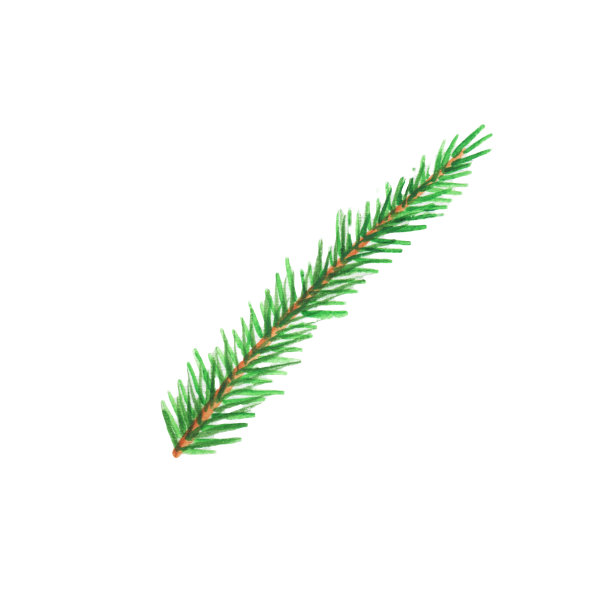 水彩剪纸圣诞树。手绘插图松枝。新2022年图片下载