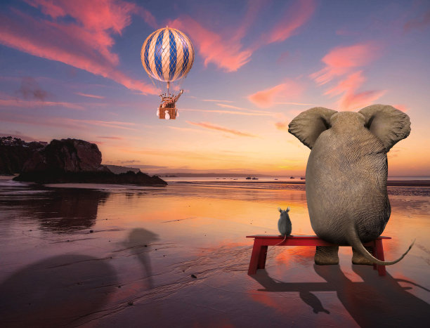 大象和我们朋友坐在一起图片下载