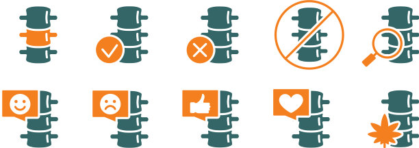 设置人体脊柱彩色图标脊椎柱图片下载