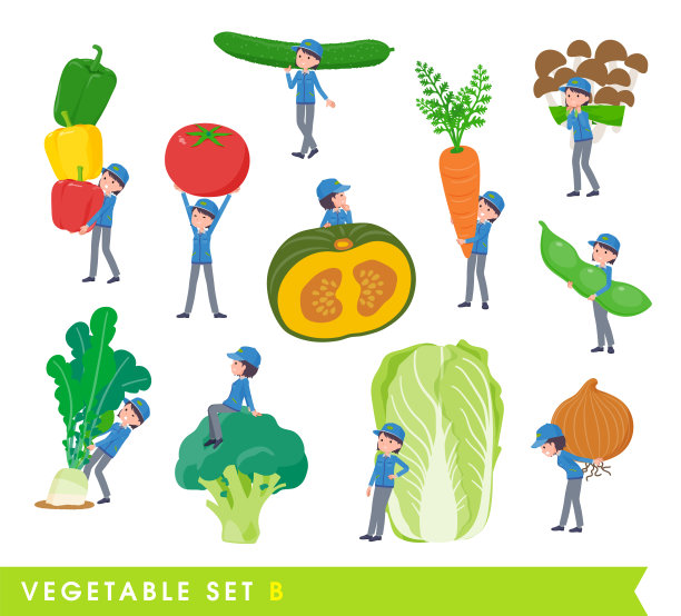 一套送货女和蔬菜。B型图片下载