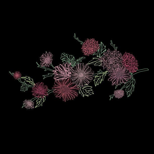 手绘花卉装饰图片下载