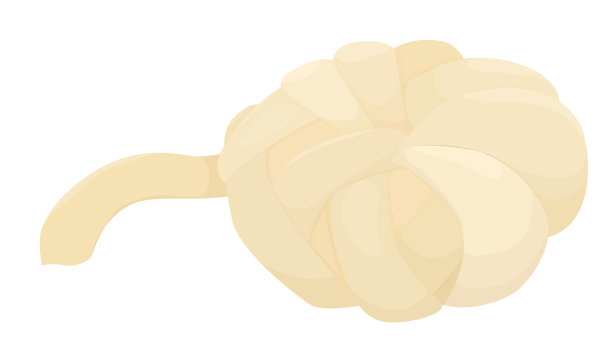 瓦哈卡州奶酪卡通图片下载