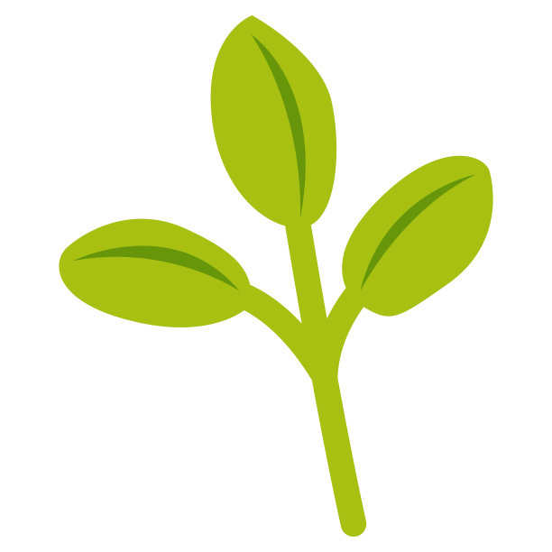 手工绘制的树枝与树叶孤立图片下载