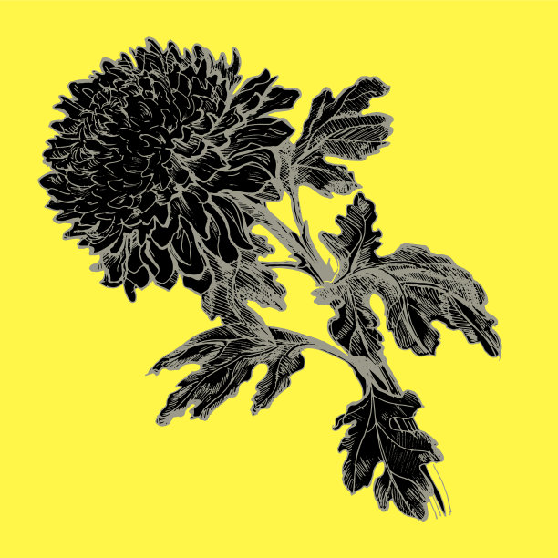 贺卡与黑色剪影图片下载