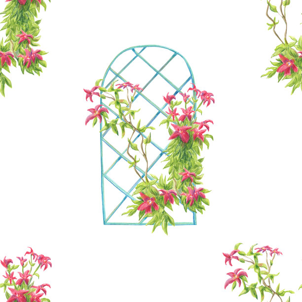 无缝模式的铁线莲花在支持上剪出在白色的背景。用彩色铅笔的技术制成。手绘。图片下载