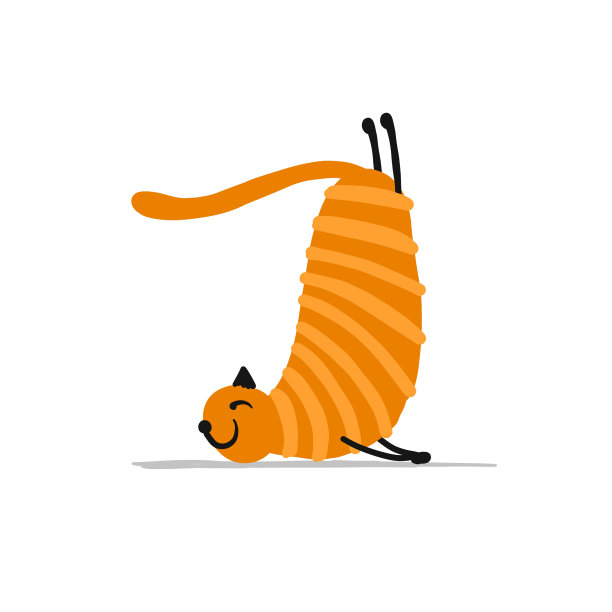 搞笑猫做瑜伽艺术性格孤立图片下载