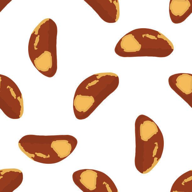 主题上大图案同型巴西坚果图片下载