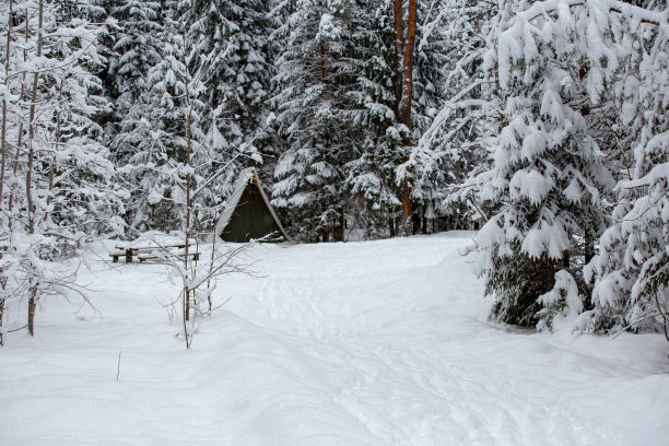 为游客拍摄冬季森林和露营地的照片，你可以有一个美好的假期这个季节。图片下载