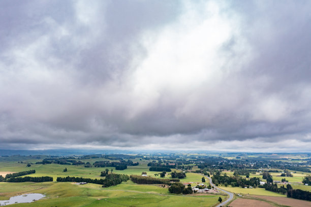 一群羊在绿色农场吃草，49号州公路，新西兰图片下载
