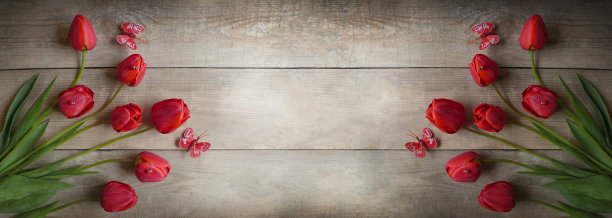 郁金香地里的郁金香。鲜艳的郁金香。花园里五颜六色的郁金香花。木质背景上的郁金香。横幅。本空间图片下载
