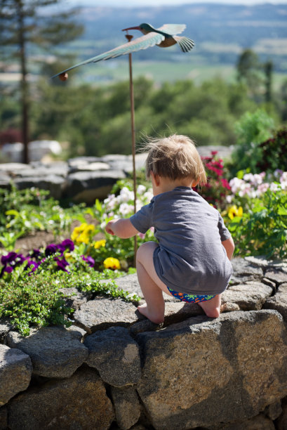家庭拍摄图片下载