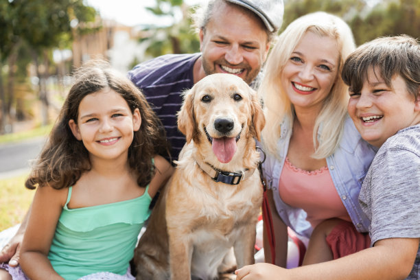 夏天，年轻的父母与孩子和他们的宠物在公园户外玩耍-主要关注狗的脸图片下载