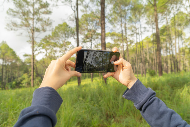 一个快乐的背包客亚洲女游客在国家公园的森林里用智能手机技术拍摄照片。自然景观。人们生活方式的冒险。放松图片下载