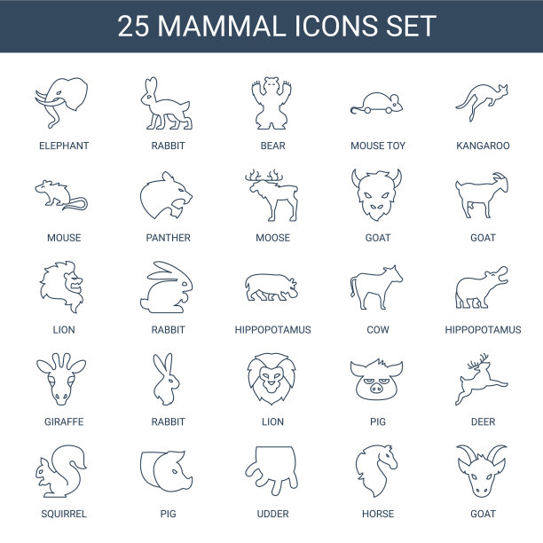 哺乳动物图标图片下载