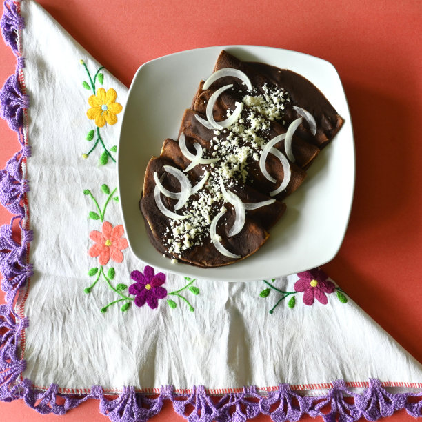 头顶上的照片是用传统墨西哥刺绣的餐巾，白色盘子上放着洋葱和奶酪，珊瑚背景和复制空间图片下载