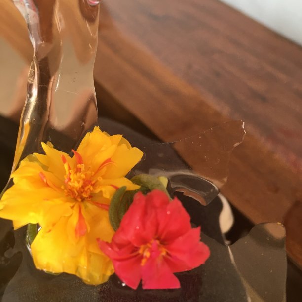 冰和鲜花图片下载