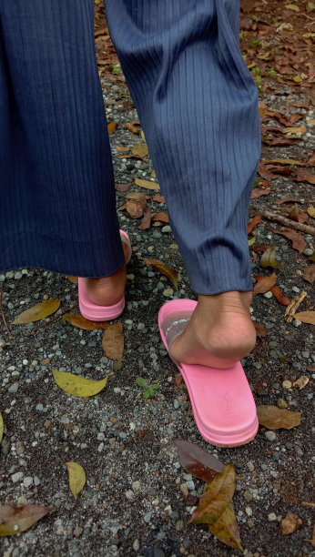 人们的脚在树叶的背景下向前走的照片图片下载