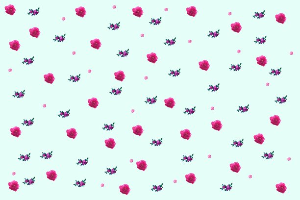 白色背景上的玫瑰图案。网页设计海报，礼品卡，情人节，婚礼，生日，国际妇女节，3月8日，母亲节。图片下载