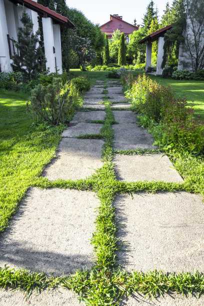 后院的设计元素图片下载