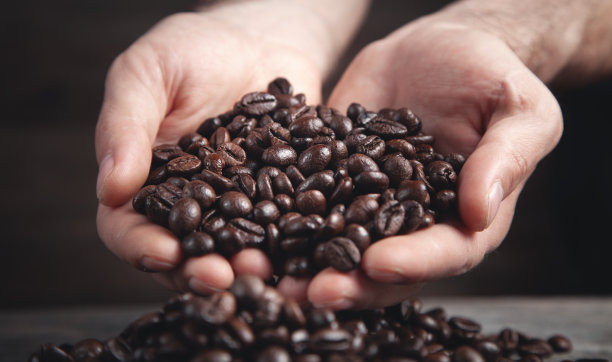 男手捧着咖啡豆。图片下载