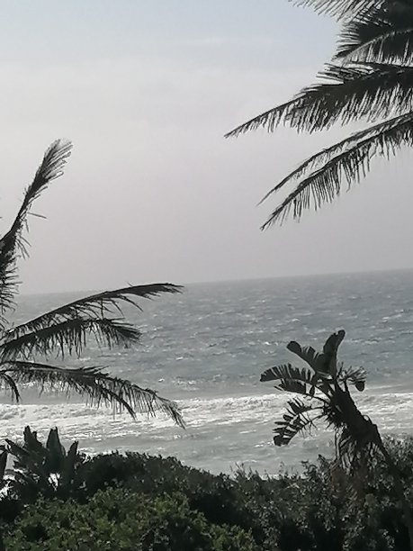 风暴进来图片下载