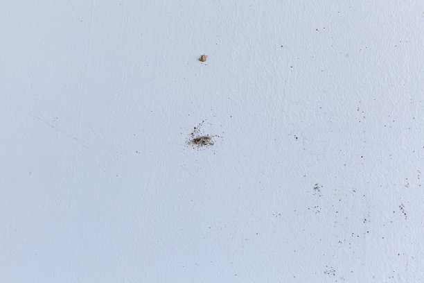 在房间库存照片的墙壁角落凝结的霉菌图片下载