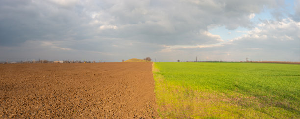 半绿的草地和耕地的全景照片，在阴天的背景下图片下载