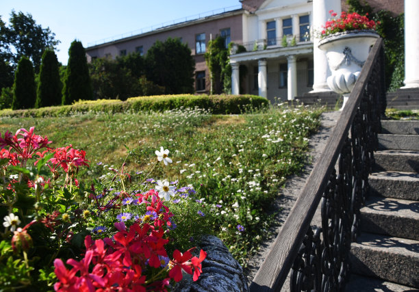 园林景观与花在石头花瓶图片下载