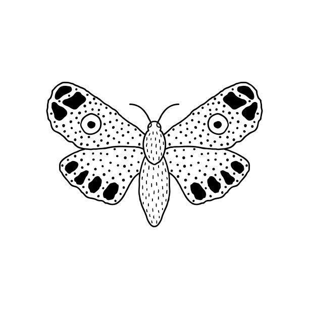 蝴蝶涂鸦风格图片下载