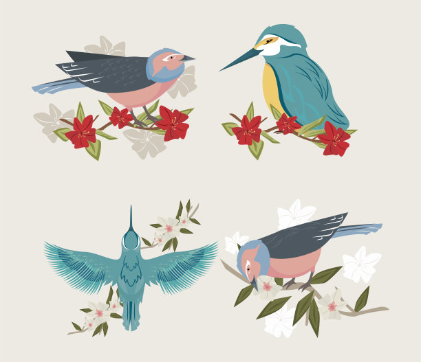 鸟类和鲜花图片下载