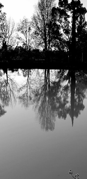 夕阳反射图片下载
