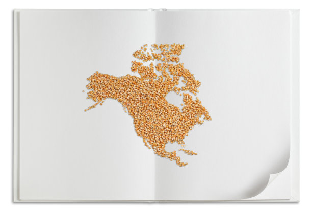 由玉米制成的地图图像图片下载