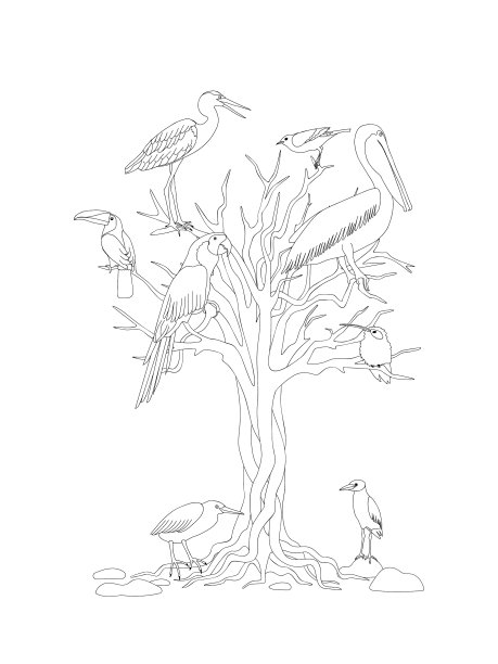 黑白印刷与树木和热带鸟类图片下载