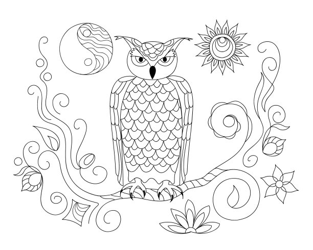 黑白相间的观赏猫头鹰和阴阳为图片下载