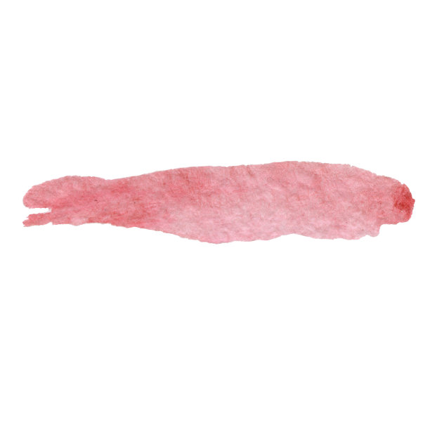 粉色水彩笔触手绘水彩插图。设计印刷，贺卡，包装，请柬图片下载