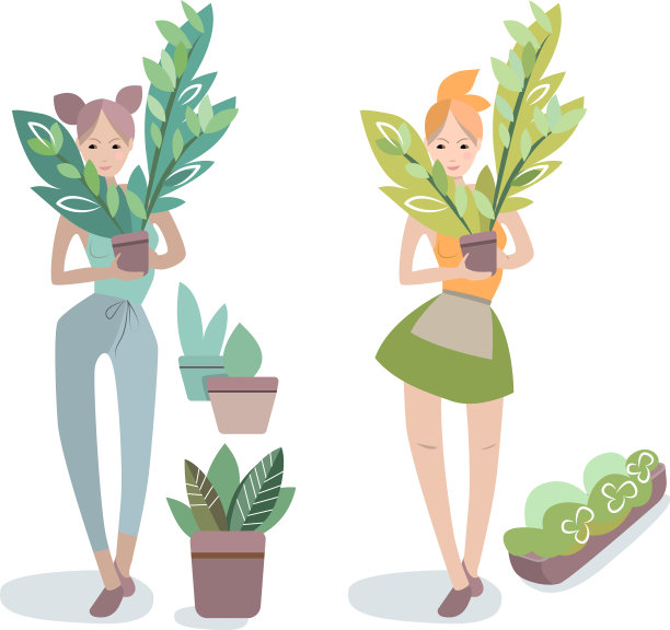 年轻女子在花盆里挑着一棵大的盆栽图片下载