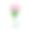 逼真的3d玻璃透明花瓶与郁金香图片下载