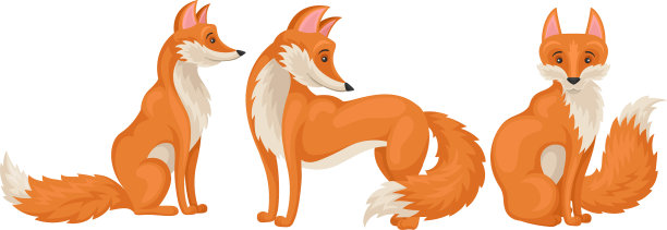 赤狐是一种直立的杂食性哺乳动物图片下载