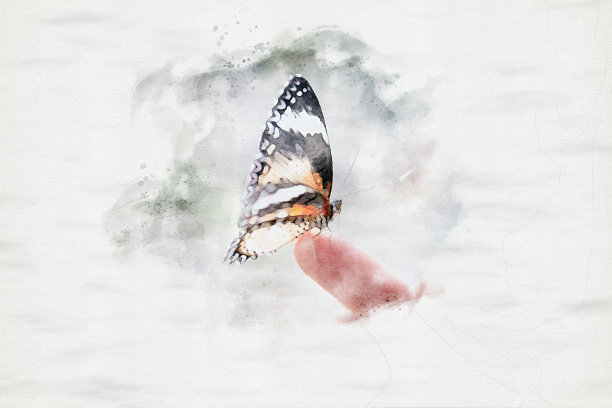 特写的蝴蝶坐在手指在水彩画图片下载