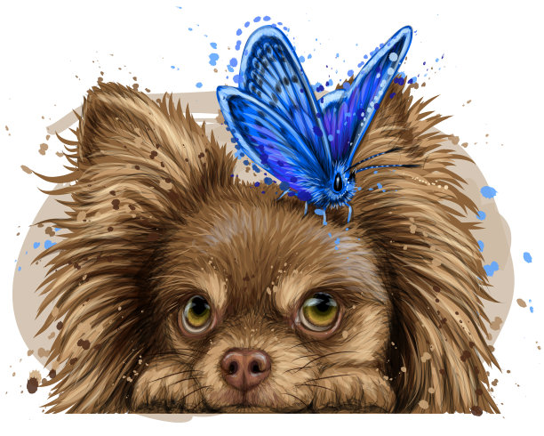 墙上贴着蝴蝶贴纸的吉娃娃狗图片下载