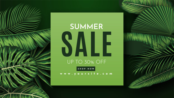 夏季销售横幅与热带树叶背景。矢量图图片下载