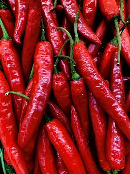 特写红辣椒。前视图。高角度。食品杂货图片下载