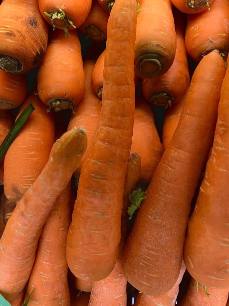 堆胡萝卜。关闭了。前视图。食品杂货商店图片下载