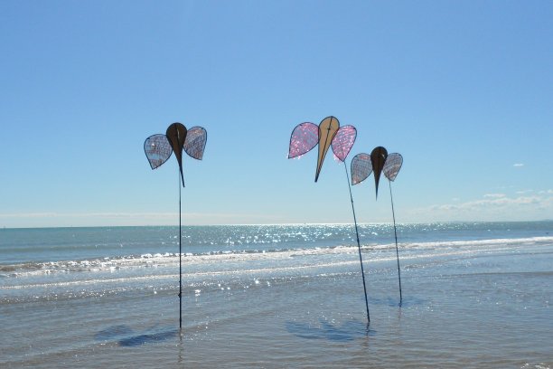 沙滩上的风筝图片下载