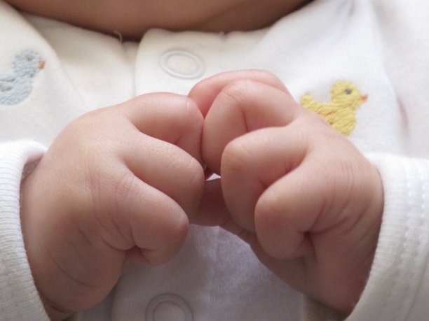 婴儿的手图片下载