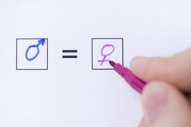 妇女的权利与男子的平等。性别平等观念图片下载