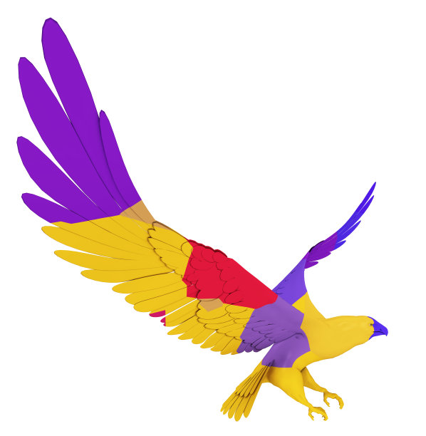 彩色海鹰孤立在白色背景上图片下载