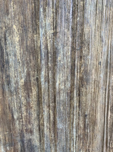 老木纹背景图片下载